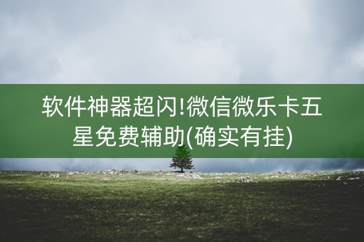 软件神器超闪!微信微乐卡五星免费辅助(确实有挂)