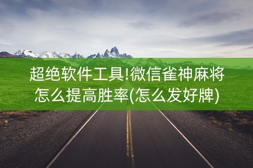 超绝软件工具!微信雀神麻将怎么提高胜率(怎么发好牌)