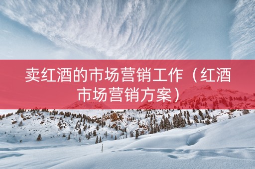 卖红酒的市场营销工作（红酒市场营销方案）