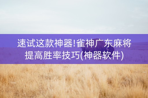 速试这款神器!雀神广东麻将提高胜率技巧(神器软件)