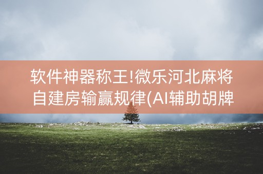 软件神器称王!微乐河北麻将自建房输赢规律(AI辅助胡牌规则)