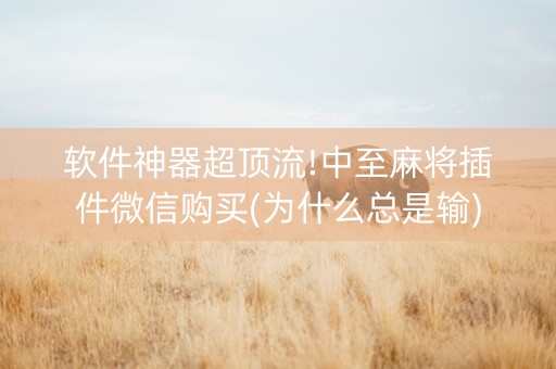 软件神器超顶流!中至麻将插件微信购买(为什么总是输)