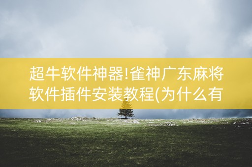 超牛软件神器!雀神广东麻将软件插件安装教程(为什么有人一直赢)