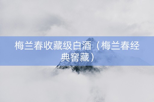 梅兰春收藏级白酒（梅兰春经典窖藏）