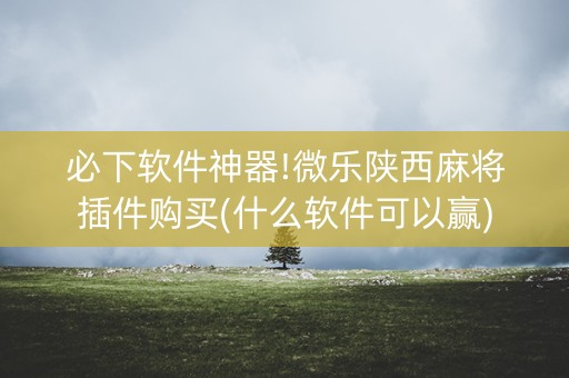 必下软件神器!微乐陕西麻将插件购买(什么软件可以赢)