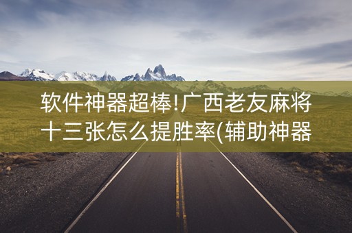 软件神器超棒!广西老友麻将十三张怎么提胜率(辅助神器免费)