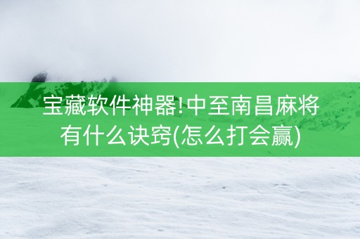 宝藏软件神器!中至南昌麻将有什么诀窍(怎么打会赢)