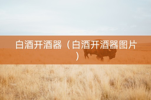 白酒开酒器（白酒开酒器图片）