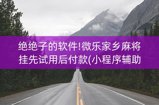 绝绝子的软件!微乐家乡麻将挂先试用后付款(小程序辅助软件)