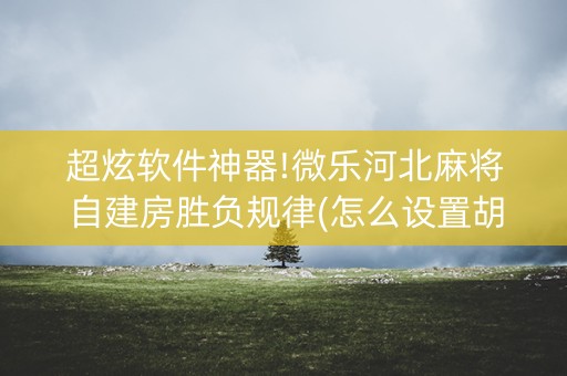 超炫软件神器!微乐河北麻将自建房胜负规律(怎么设置胡牌)