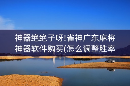神器绝绝子呀!雀神广东麻将神器软件购买(怎么调整胜率)