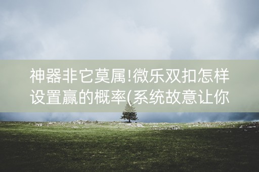 神器非它莫属!微乐双扣怎样设置赢的概率(系统故意让你输)