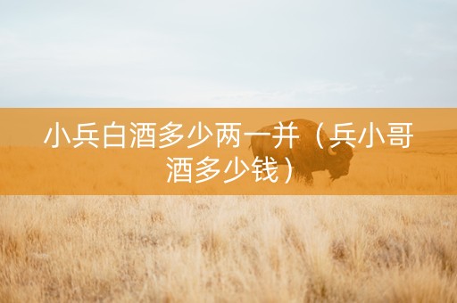 小兵白酒多少两一并（兵小哥酒多少钱）