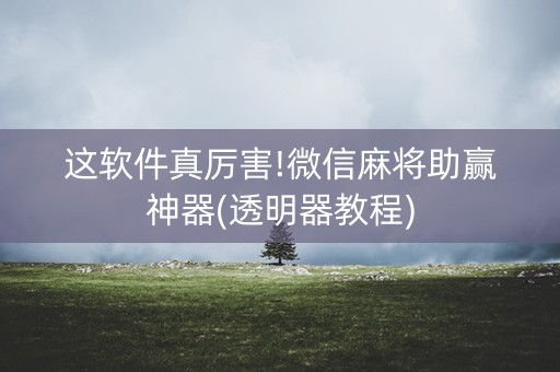 这软件真厉害!微信麻将助赢神器(透明器教程)