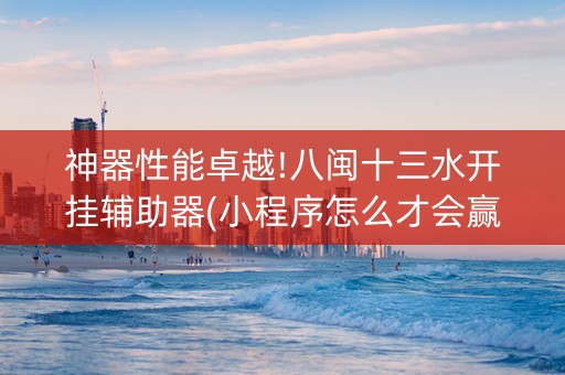 神器性能卓越!八闽十三水开挂辅助器(小程序怎么才会赢)