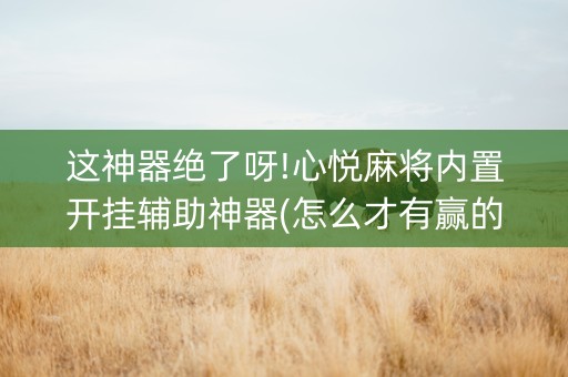 这神器绝了呀!心悦麻将内置开挂辅助神器(怎么才有赢的几率)