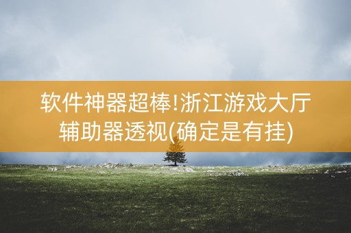 软件神器超棒!浙江游戏大厅辅助器透视(确定是有挂)