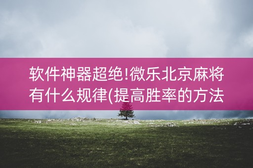 软件神器超绝!微乐北京麻将有什么规律(提高胜率的方法)