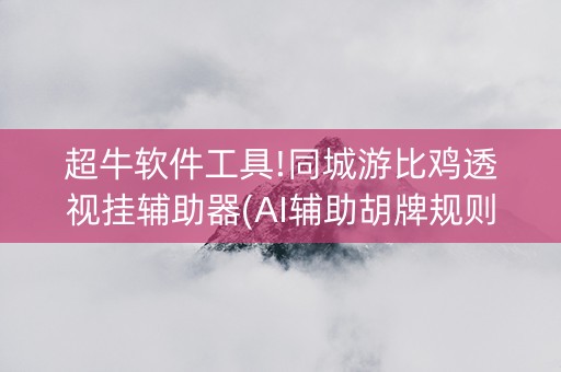 超牛软件工具!同城游比鸡透视挂辅助器(AI辅助胡牌规则)