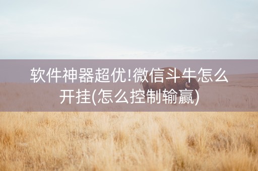 软件神器超优!微信斗牛怎么开挂(怎么控制输赢)