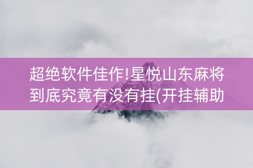超绝软件佳作!星悦山东麻将到底究竟有没有挂(开挂辅助器插件)