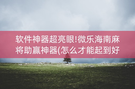 软件神器超亮眼!微乐海南麻将助赢神器(怎么才能起到好牌)