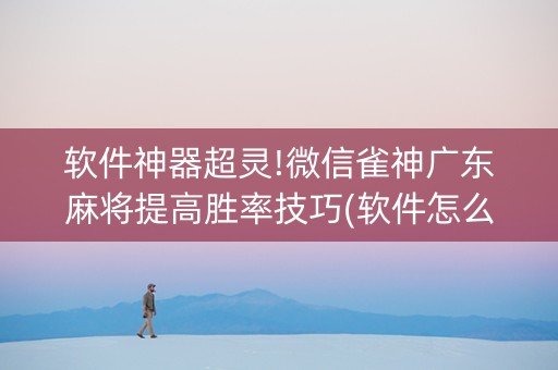 软件神器超灵!微信雀神广东麻将提高胜率技巧(软件怎么打赢)