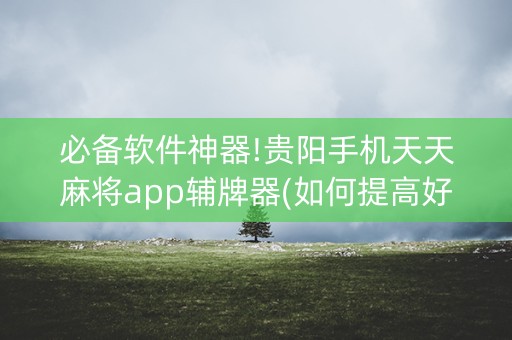 必备软件神器!贵阳手机天天麻将app辅牌器(如何提高好牌几率)