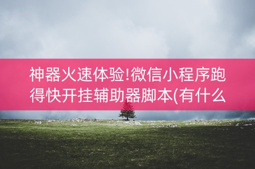 神器火速体验!微信小程序跑得快开挂辅助器脚本(有什么赢的技巧)