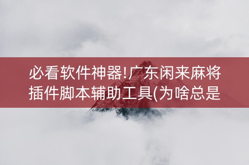 必看软件神器!广东闲来麻将插件脚本辅助工具(为啥总是输)