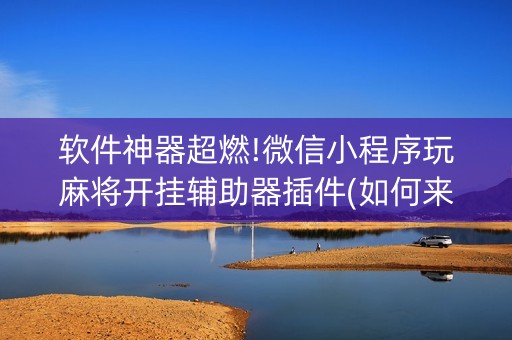 软件神器超燃!微信小程序玩麻将开挂辅助器插件(如何来好牌)