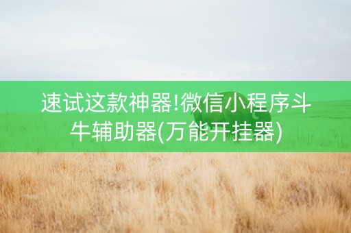 速试这款神器!微信小程序斗牛辅助器(万能开挂器)