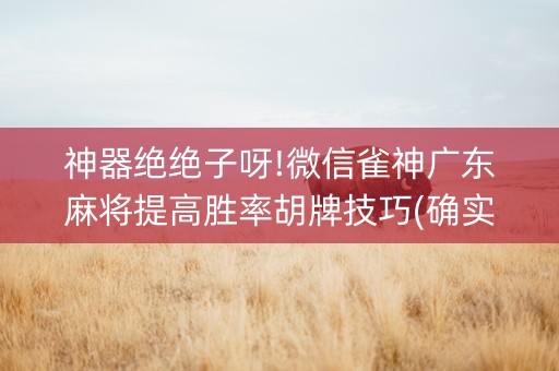 神器绝绝子呀!微信雀神广东麻将提高胜率胡牌技巧(确实真的有挂)