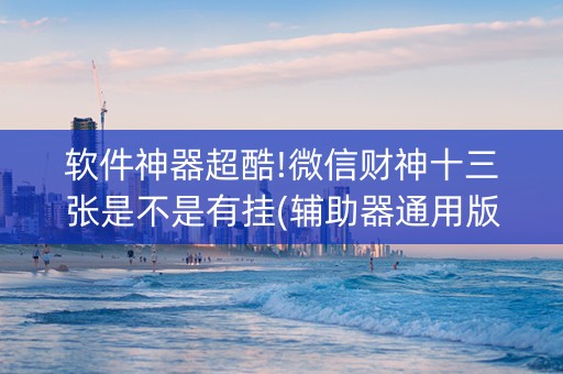 软件神器超酷!微信财神十三张是不是有挂(辅助器通用版)