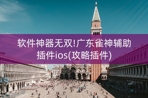 软件神器无双!广东雀神辅助插件ios(攻略插件)