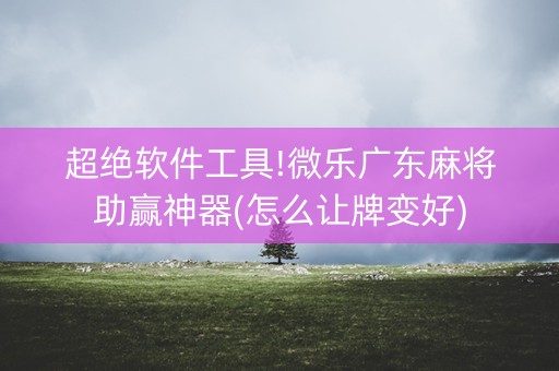 超绝软件工具!微乐广东麻将助赢神器(怎么让牌变好)