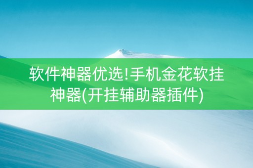 软件神器优选!手机金花软挂神器(开挂辅助器插件)