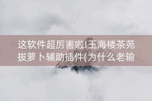 这软件超厉害啦!玉海楼茶苑拔萝卜辅助插件(为什么老输)