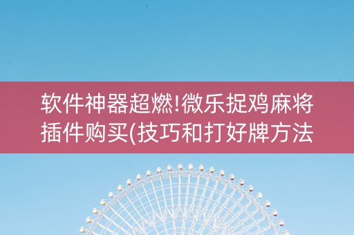 软件神器超燃!微乐捉鸡麻将插件购买(技巧和打好牌方法)