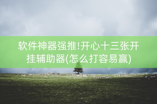 软件神器强推!开心十三张开挂辅助器(怎么打容易赢)