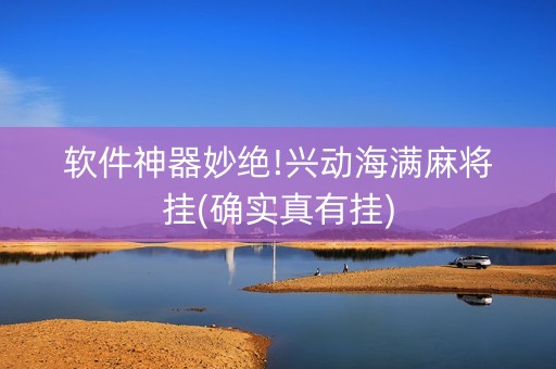 软件神器妙绝!兴动海满麻将挂(确实真有挂)
