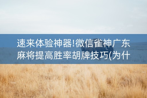速来体验神器!微信雀神广东麻将提高胜率胡牌技巧(为什么老输)