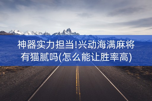 神器实力担当!兴动海满麻将有猫腻吗(怎么能让胜率高)