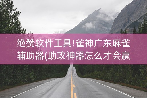 绝赞软件工具!雀神广东麻雀辅助器(助攻神器怎么才会赢)
