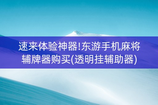 速来体验神器!东游手机麻将辅牌器购买(透明挂辅助器)