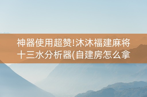 神器使用超赞!沐沐福建麻将十三水分析器(自建房怎么拿好牌)