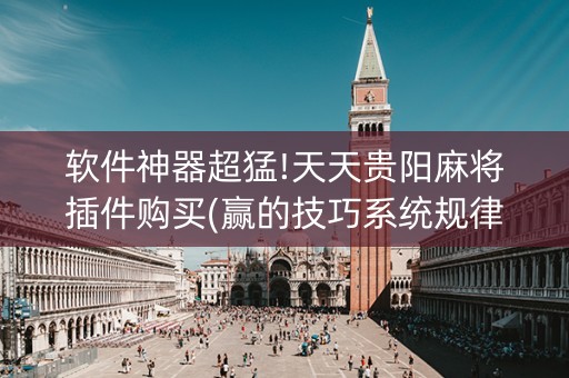 软件神器超猛!天天贵阳麻将插件购买(赢的技巧系统规律)