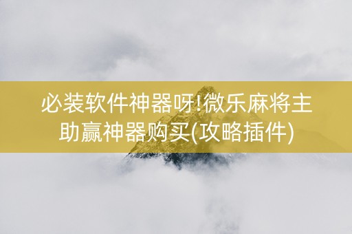 必装软件神器呀!微乐麻将主助赢神器购买(攻略插件)