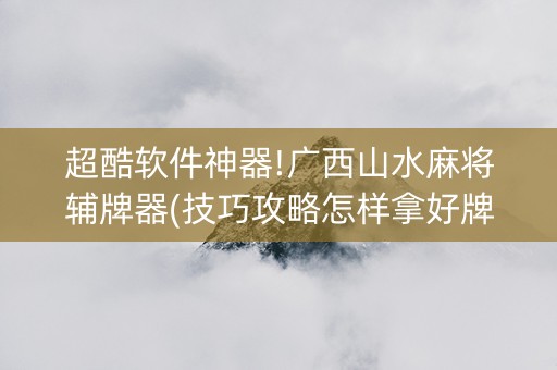 超酷软件神器!广西山水麻将辅牌器(技巧攻略怎样拿好牌)