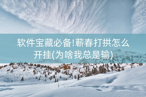 软件宝藏必备!蕲春打拱怎么开挂(为啥我总是输)